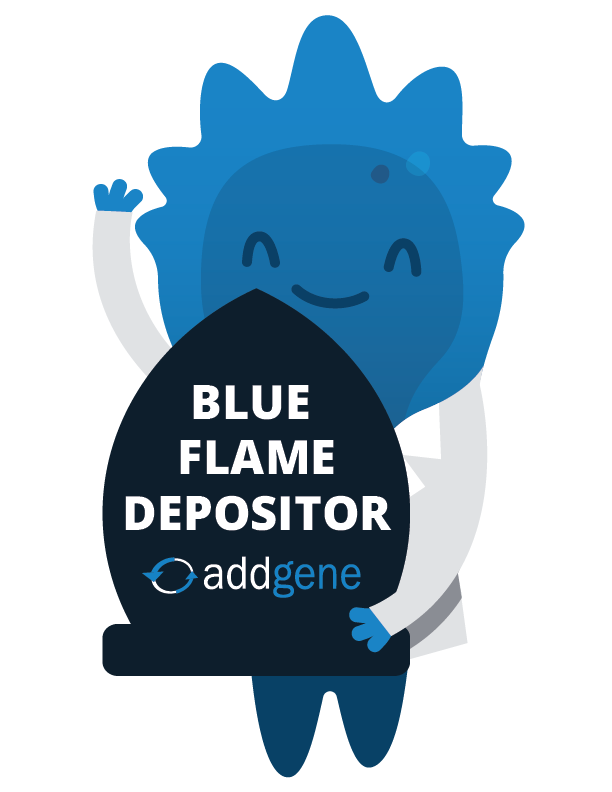 Blue-Flame-Award-print